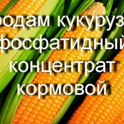 Продам кукурузно-фосфатидный концентрат кормовой